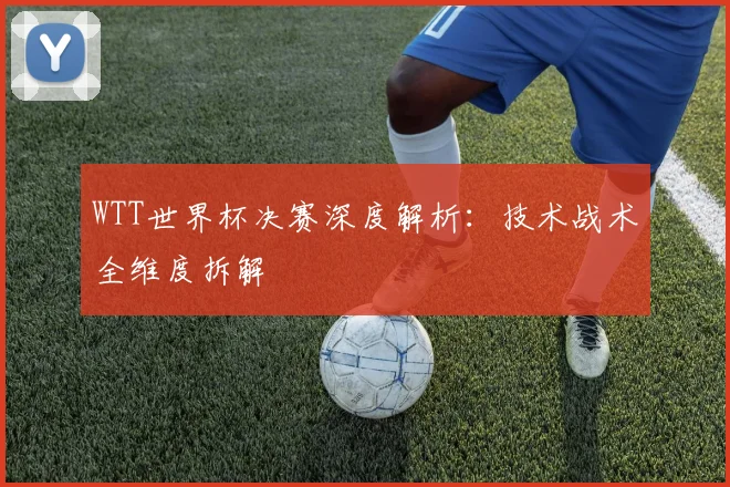 WTT世界杯决赛深度解析：技术战术全维度拆解