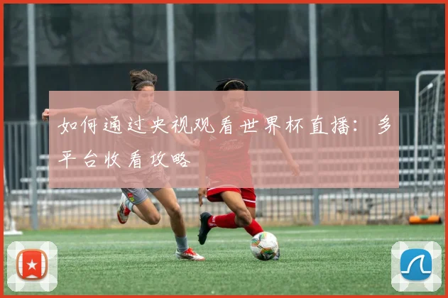 如何通过央视观看世界杯直播：多平台收看攻略