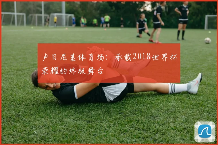 卢日尼基体育场:承载2018世界杯荣耀的终极舞台